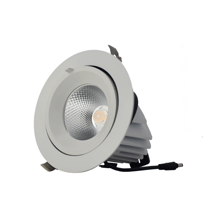 3A DL3503 30W LED Round Adjustable Downlight