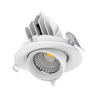 Domus SCOOP-13 Round 13W Adjustable LED Dimmable Downlight