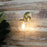 Oriel Lighting Newton Clear Glass Wall Light