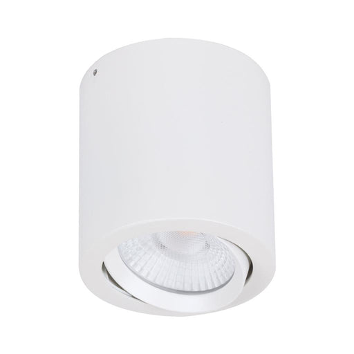Domus NEO-20 Round 20W Surface Mount Tiltable LED Dimmable IP20 Downlight White