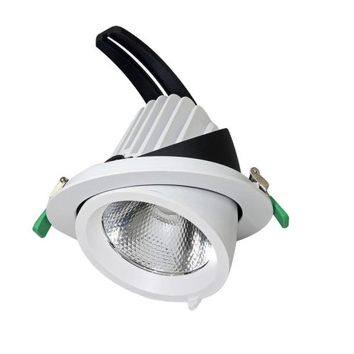 SAL NEWMAN III S9525 15/35W Rotable Scoop LED Shoplight