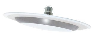 PHL PHLS-15BF/WW Oyster Ceiling Light
