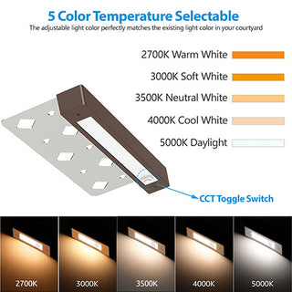 Pro Light Club Hardscape Step Lights PHL8807