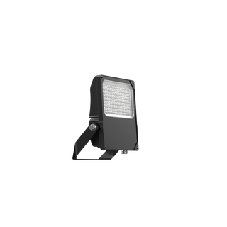 COLUMBUS 100
IP65 Asymmetric or Symmetric LED Floodlight