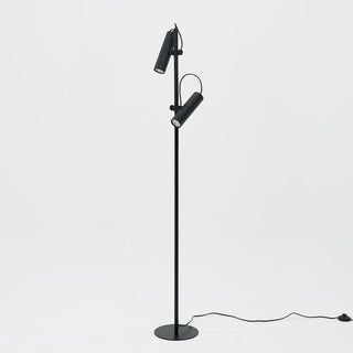 Lexi Tara Floor Lamp With Adjustable Head