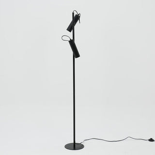 Lexi Tara Floor Lamp With Adjustable Head