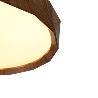 Lexi Irene CCT LED Ceiling Light