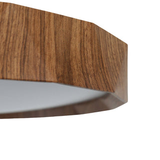 Lexi Irene CCT LED Ceiling Light