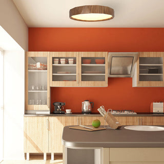 Lexi Irene CCT LED Ceiling Light