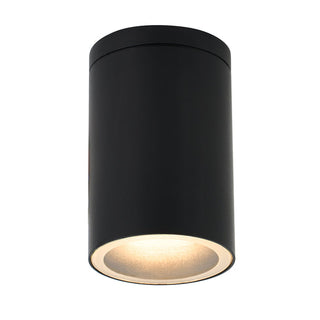 Lexi Myren Outdoor Ceiling Light Black