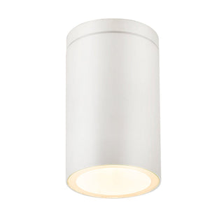 Lexi Myren Outdoor Ceiling Light White