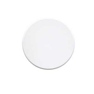 Lexi Orlan 250mm LED Colour-Shifting Disc Wall Sconce White/Large