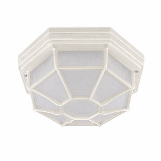 Lexi Alaya Outdoor Mounted Ceiling Light