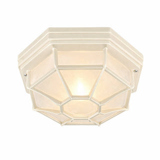 Lexi Alaya Outdoor Mounted Ceiling Light