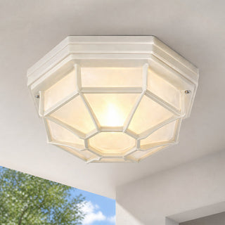 Lexi Alaya Outdoor Mounted Ceiling Light