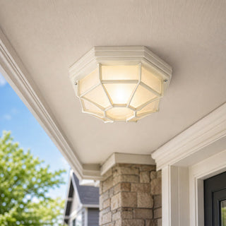 Lexi Alaya Outdoor Mounted Ceiling Light