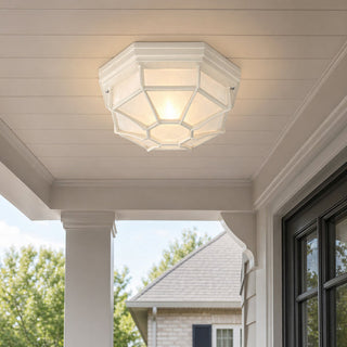 Lexi Alaya Outdoor Mounted Ceiling Light