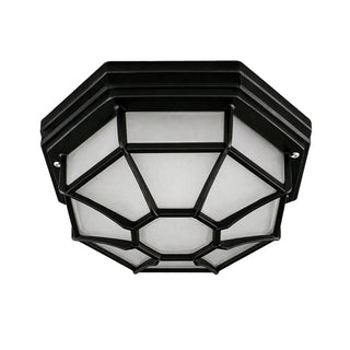 Lexi Alaya Outdoor Mounted Ceiling Light