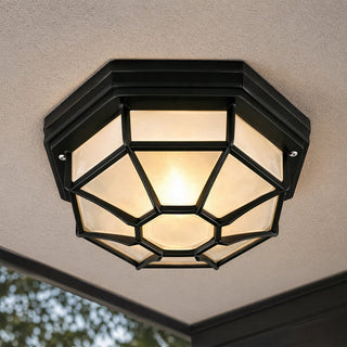 Lexi Alaya Outdoor Mounted Ceiling Light