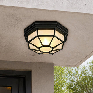 Lexi Alaya Outdoor Mounted Ceiling Light