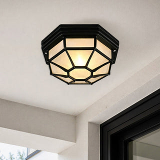Lexi Alaya Outdoor Mounted Ceiling Light