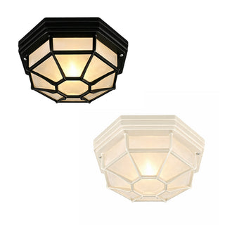 Lexi Alaya Outdoor Mounted Ceiling Light