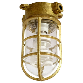 Lighting Inspirations Regatta Outdoor Ceiling Mount Light Solid Brass