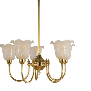 Lighting Inspirations Luke 5 Light Pendant With 5008 Shades Arms Up