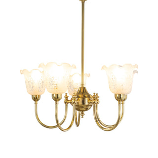 Lighting Inspirations Luke 5 Light Pendant With 5008 Shades Arms Up