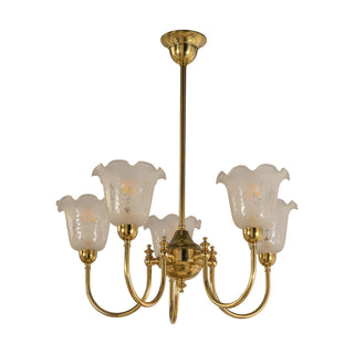 Lighting Inspirations Luke 5 Light Pendant With 5008 Shades Arms Up