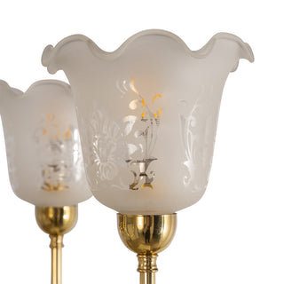 Lighting Inspirations Luke 5 Light Pendant With 5008 Shades Arms Up