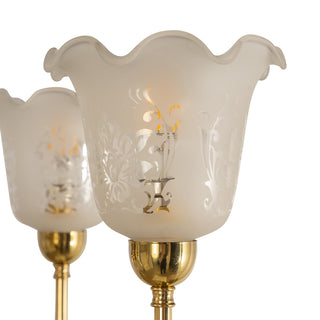Lighting Inspirations Luke 5 Light Pendant With 5008 Shades Arms Up