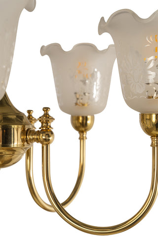 Lighting Inspirations Luke 5 Light Pendant With 5008 Shades Arms Up
