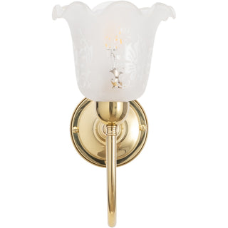 Lighting Inspirations Luke Wall Bracket With 5008 Shade