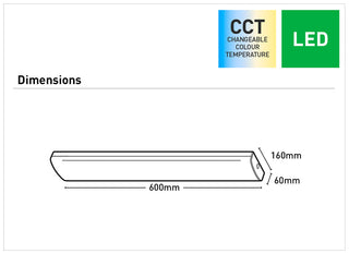 Mercator Tanura Batten Light