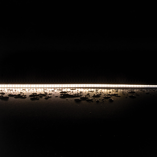 Clearance - Domus PLEX-7.2-WP-5M - 7.2W LED 60LED P/M Striplight IP66 12V 5M Roll Pack - DRIVER REQUIRED