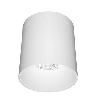 SAL Airlee S9605TC IP65 Surface Mount Downlight