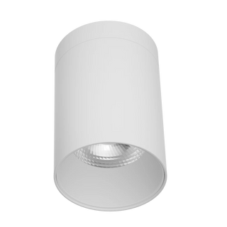 SAL Airlee S9605TC IP65 Surface Mount Downlight