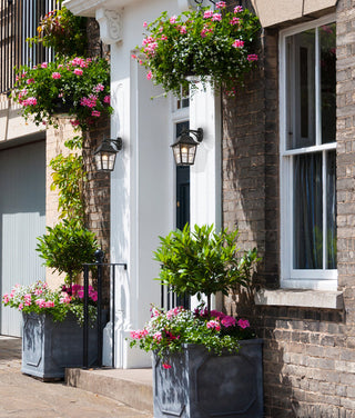 CLA Trenero Exterior Surface Mounted Coach Wall Lights IP44