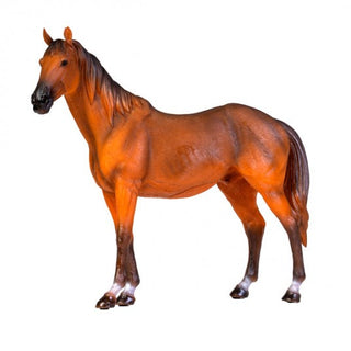 Toongabbie LED Table Lamp TNMDXW-TL/H2