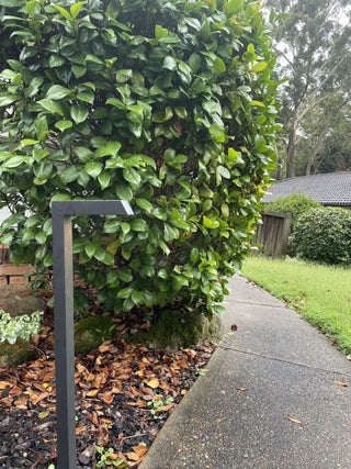 Pro Light Club HI-PPL1100BK Spike Light