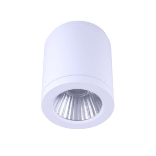3A 15W Led Surface Mount Light DL2081