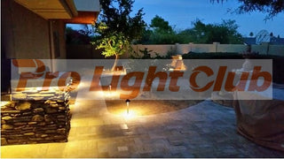 Pro Light Club Brass Path Light PPL2301WB