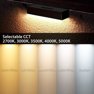 Pro Light Club 90mm 5CCT Step Light