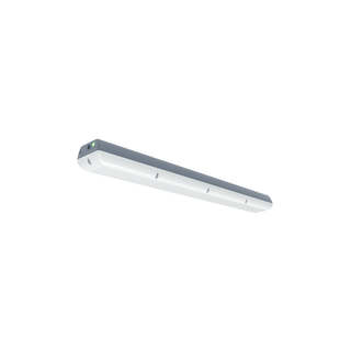 Grandlux Tri-Colour Emergency
IP66 IK10 Die-Cast Aluminium Vandalproof Luminaire