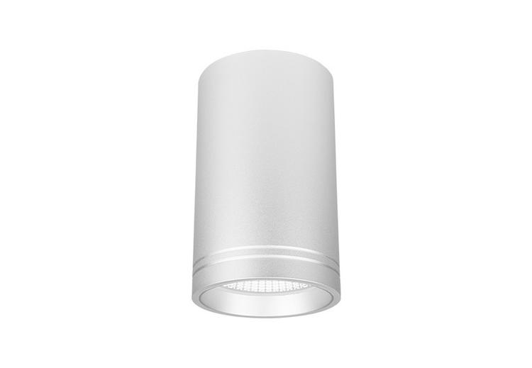 Trend Surface Mounted LED Downlight XSR25 25W