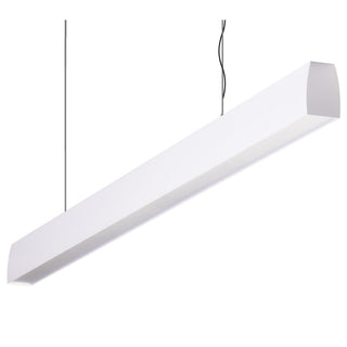 Domus Maxi Curve 1.7m Long Pendant White Dimmable 3k