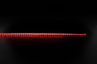 Domus Plex 19.2W Strip RGBWW IP20 24V 1M