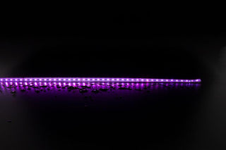 Domus Plex 19.2W Strip RGBWW IP20 24V 1M