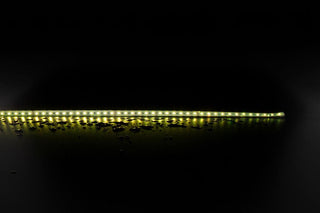 Domus Plex 19.2W Strip RGBWW IP20 24V 1M